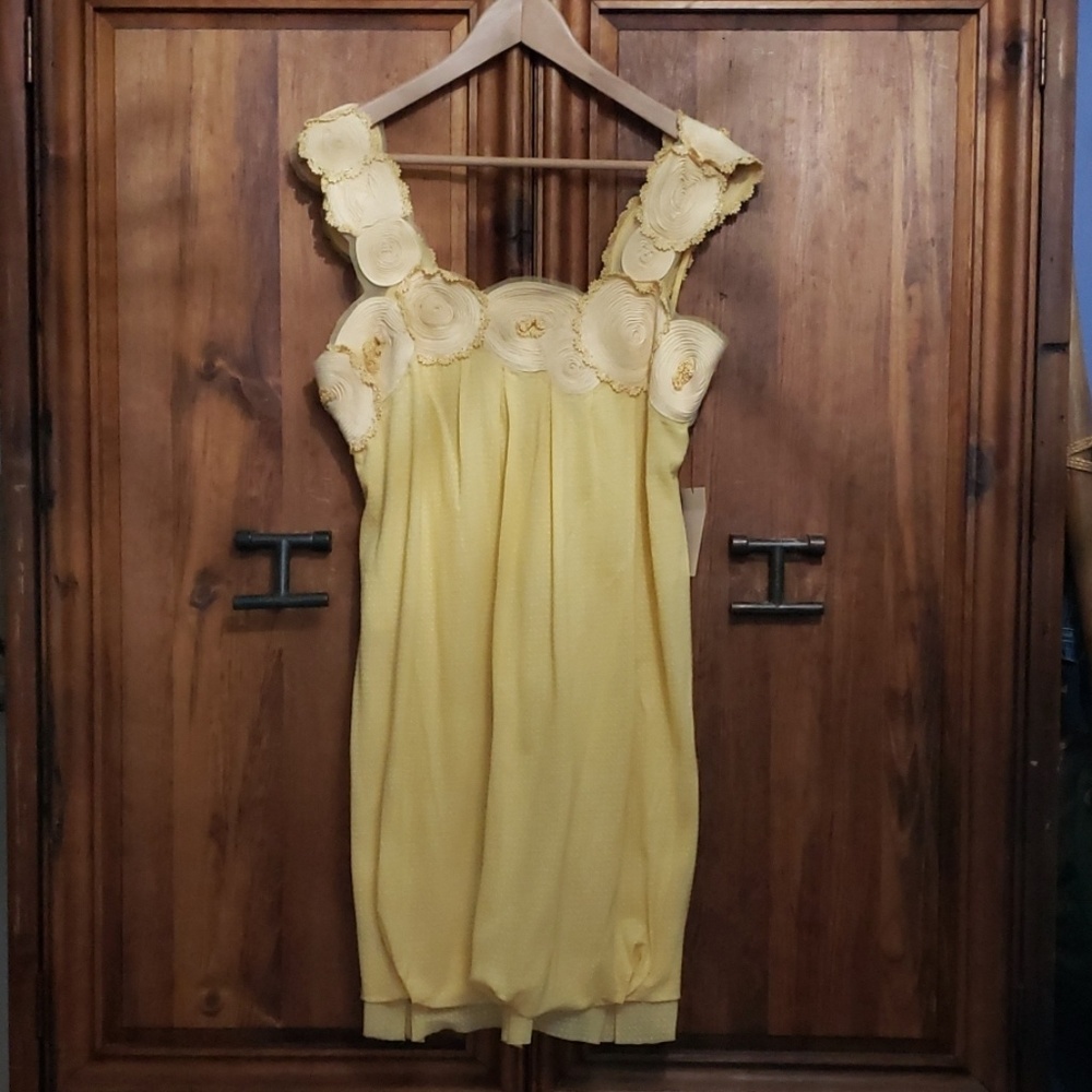 BCBG MAXAZRIA Slip On Dress Women Size M